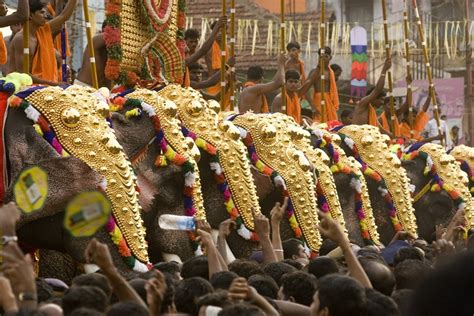 Ramyuan Elephant Festival: Een Verbliffende Viering van Olifanten en Culturele Erfenis